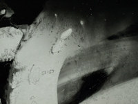 thumbnail of 'Chaos and Order' image